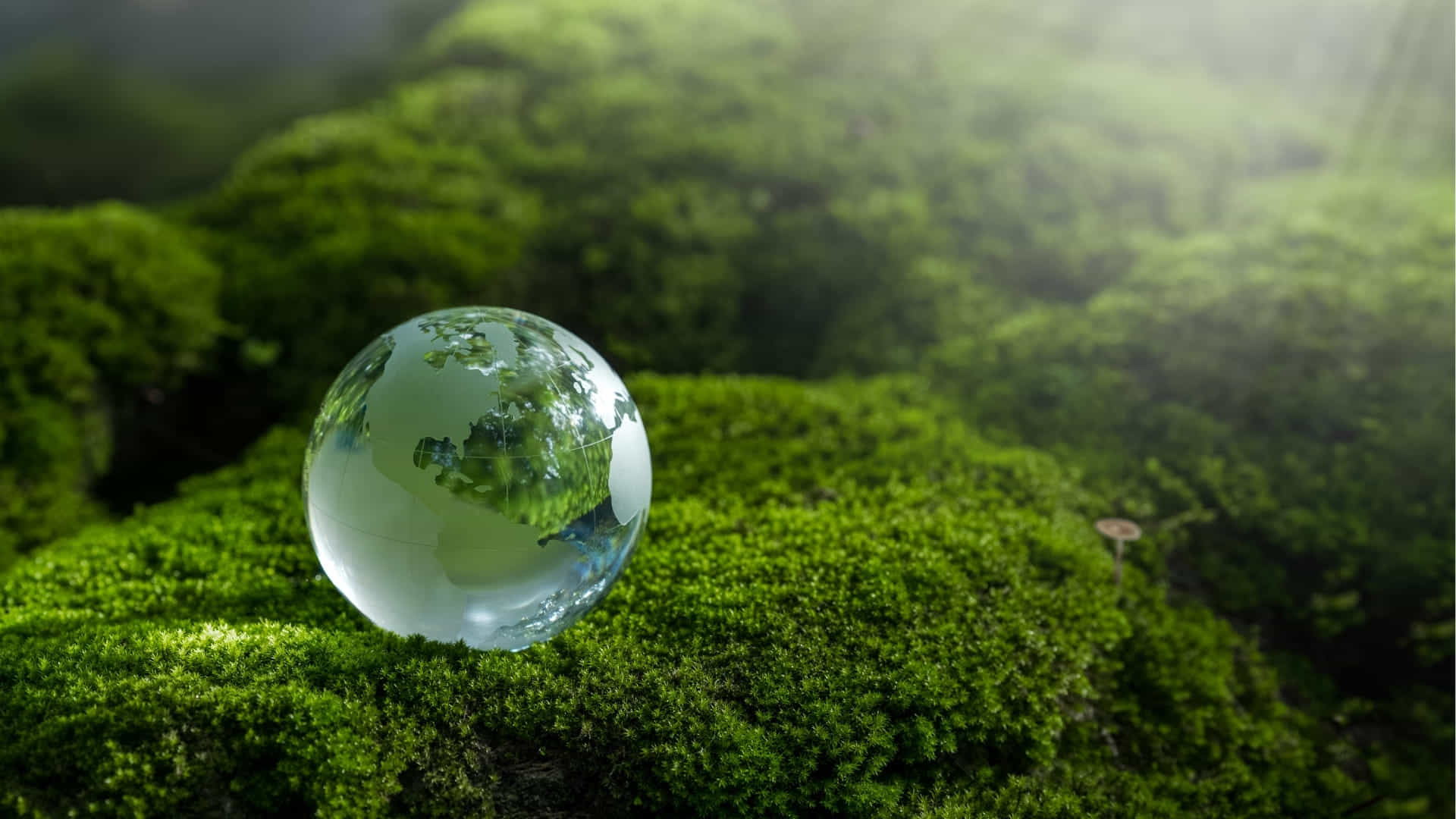 nachhaltigkeit-weitblick